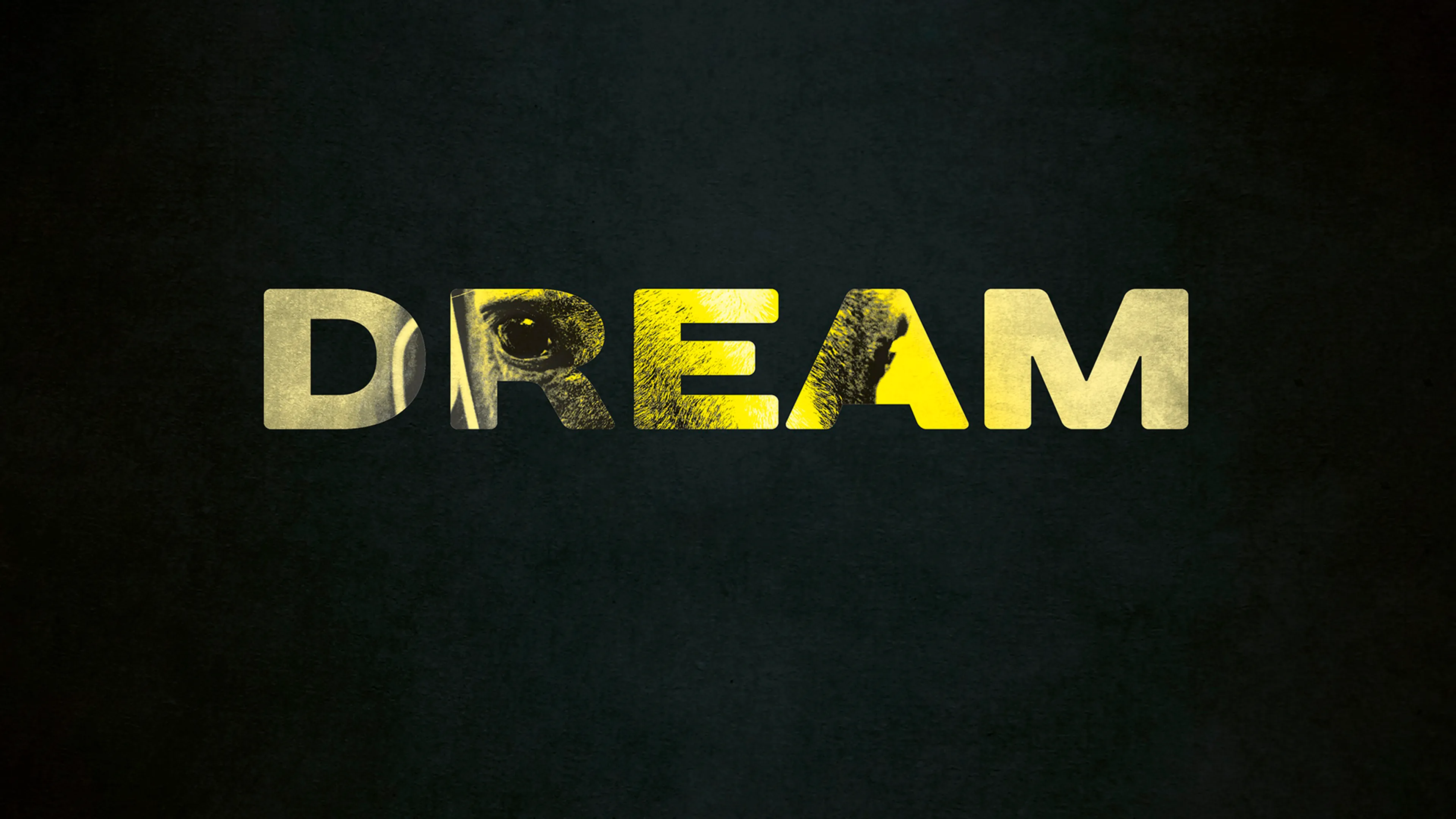 Dream poster